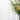 Fall into Style: Hosting a Chic Get-Together with Molly Green - Molly Green