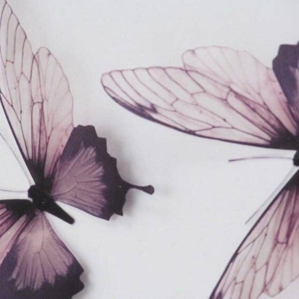 February Photoshoot Mood Board - Molly Green