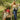 Clothes - Molly Green