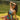 Concert Series - Molly Green