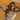 What's New - Molly Green