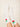 Molly Green - Cherry Socks - Accessories