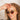 Molly Green - Coincidence Sunnies - Accessories