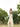 Molly Green - Gloria Smocked Maxi Dress - Casual_Dresses