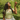 Molly Green - Peaches Baby Tee - Casual_Tops